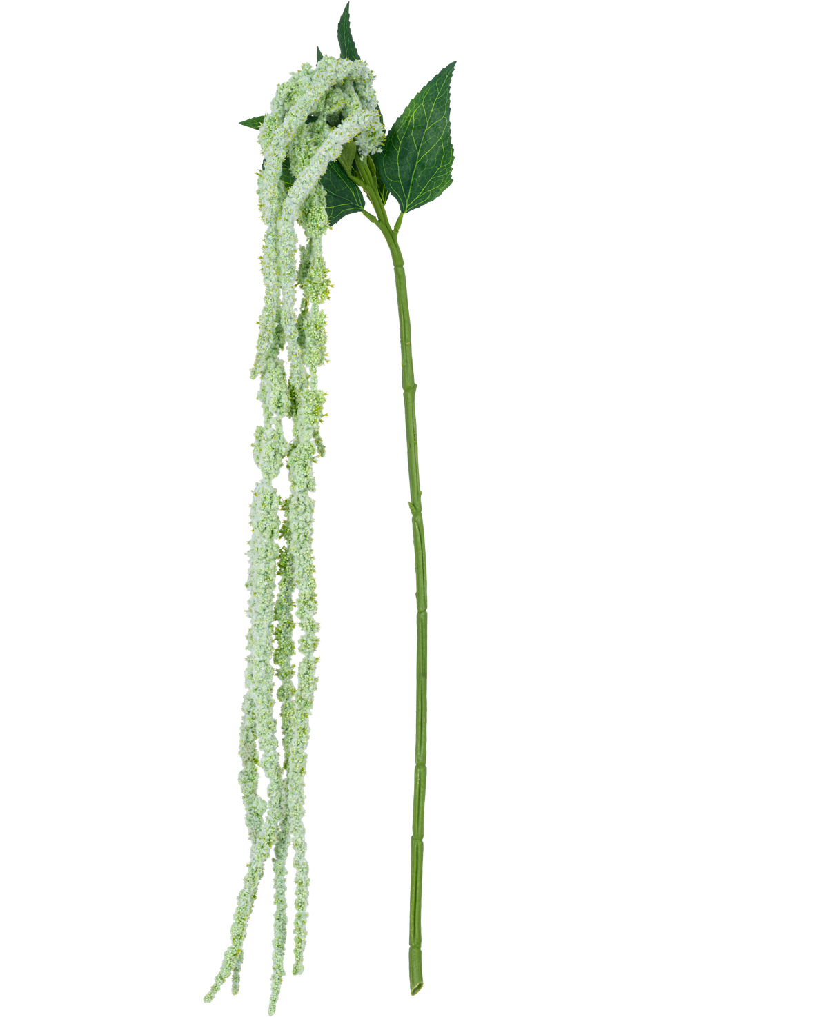 La fleur artificielle Amaranthus 124 cm verte a une seule tige verte avec de longues grappes pendantes de petites fleurs vert clair et deux grandes feuilles vertes, sur un fond blanc.