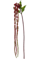 La Fleur Artificielle Amaranthus 122 cm rouge vin possède une seule tige d'amarante artificielle avec des feuilles vertes et de longs bouquets de petites fleurs rouge vin sur fond blanc.