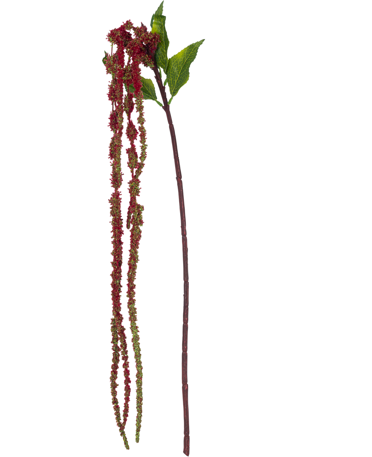 La Fleur Artificielle Amaranthus 122 cm rouge vin possède une seule tige d'amarante artificielle avec des feuilles vertes et de longs bouquets de petites fleurs rouge vin sur fond blanc.