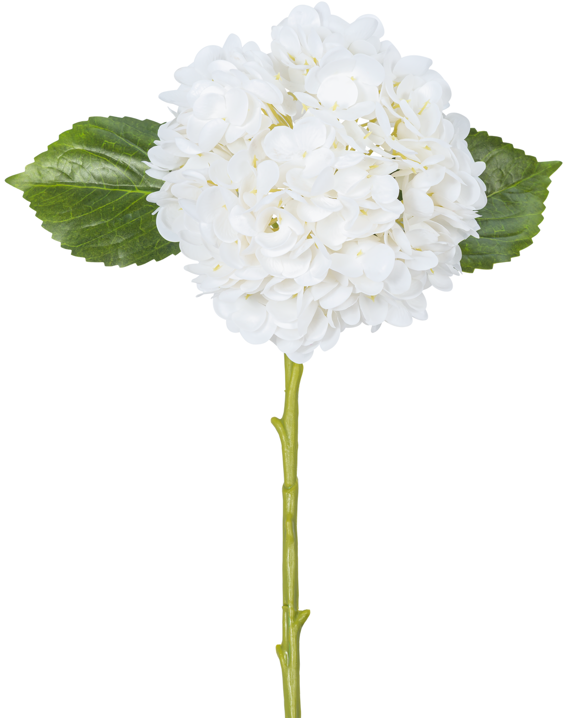 La fleur artificielle Hortensia Real Touch Blanc 49 cm présente un seul hortensia blanc aux pétales ronds et pleins, deux grandes feuilles vertes et une longue tige, sur un fond blanc uni.