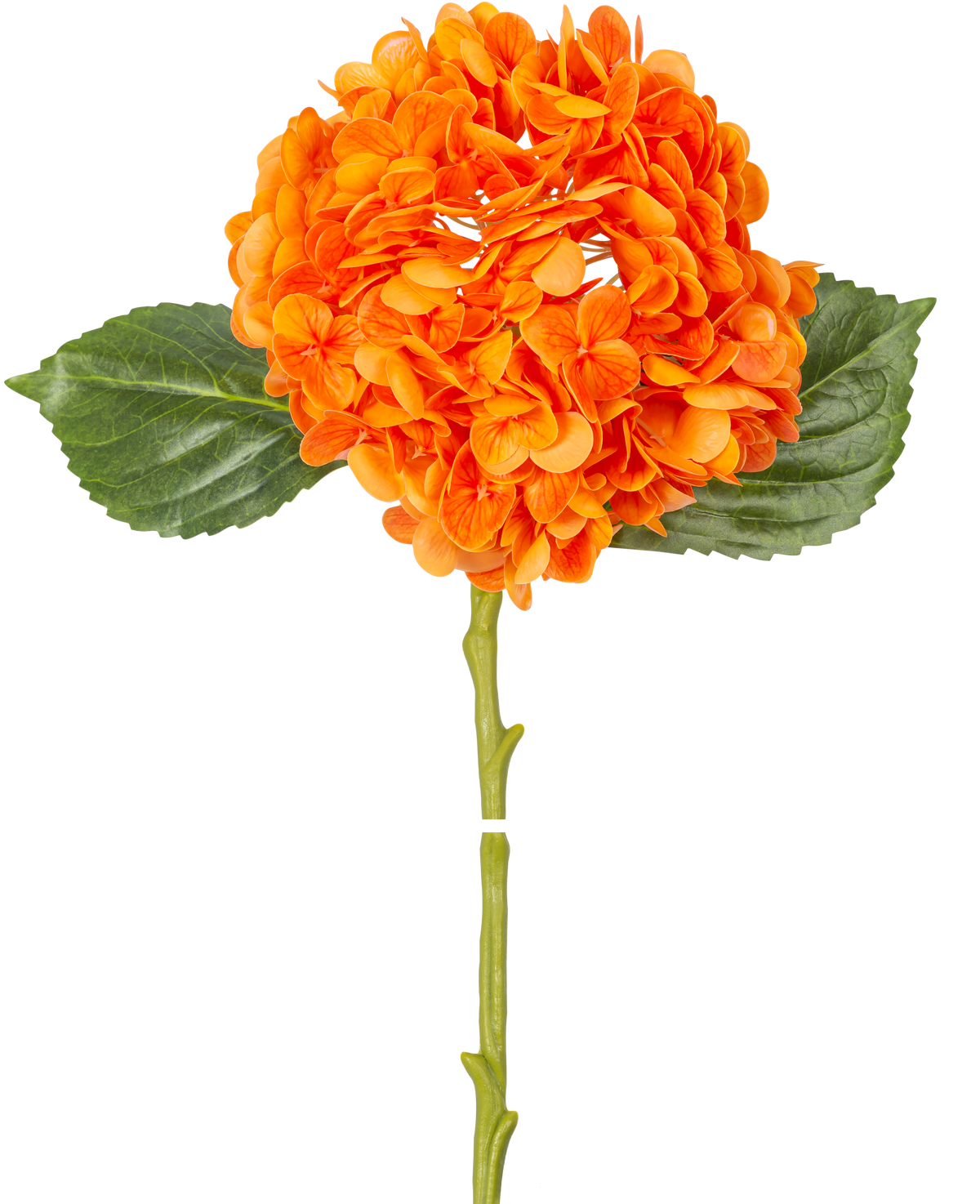 La Fleur artificielle Hortensia Charlotte Real Touch orange 49 cm a une fleur d'hortensia orange avec des pétales réalistes, des feuilles vertes et une longue tige, isolée sur un fond blanc.