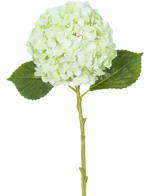 La Fleur Artificielle Hortensia Real Touch Vert Clair 49 cm possède une seule fleur d'hortensia vert clair avec des pétales ronds, deux feuilles vertes et une longue tige sur un fond blanc.