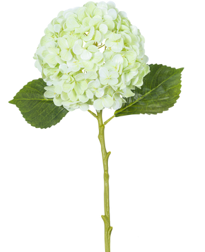 La Fleur Artificielle Hortensia Real Touch Vert Clair 49 cm possède une seule fleur d'hortensia vert clair avec des pétales ronds, deux feuilles vertes et une longue tige sur un fond blanc.
