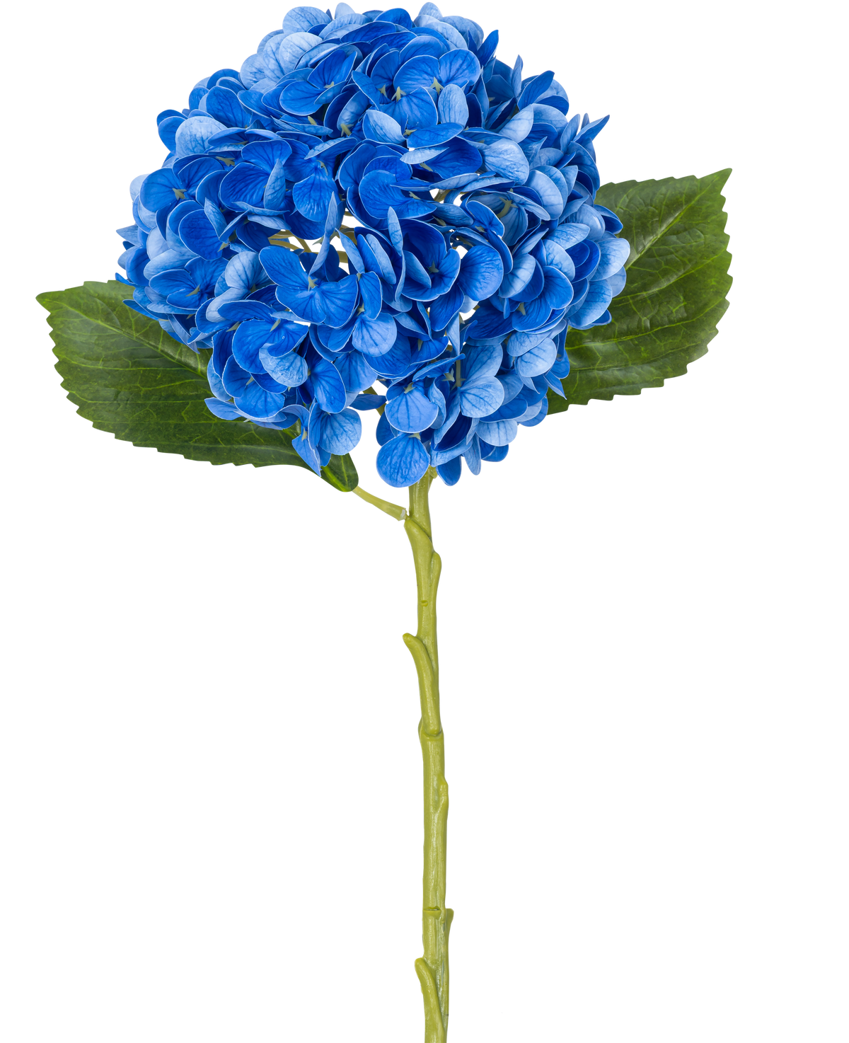 La fleur artificielle Charlotte Hortensia Real Touch Bleu 49 cm est un seul hortensia bleu avec des feuilles vertes et une longue tige, représenté sur un fond blanc.