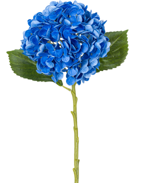 La fleur artificielle Charlotte Hortensia Real Touch Bleu 49 cm est un seul hortensia bleu avec des feuilles vertes et une longue tige, représenté sur un fond blanc.