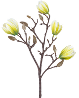 Une fleur artificielle Magnolia de 50 cm blanc/vert avec quatre fleurs jaune-blanc et un certain nombre de boutons bruns duveteux sur un fond blanc.