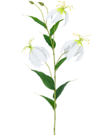 La Fleur Artificielle Gloriosa Real Touch Blanc 75 cm a une seule tige verte avec trois fleurs Gloriosa blanches ouvertes, deux bourgeons, de longues étamines jaunes et des feuilles vertes allongées sur un fond blanc uni.