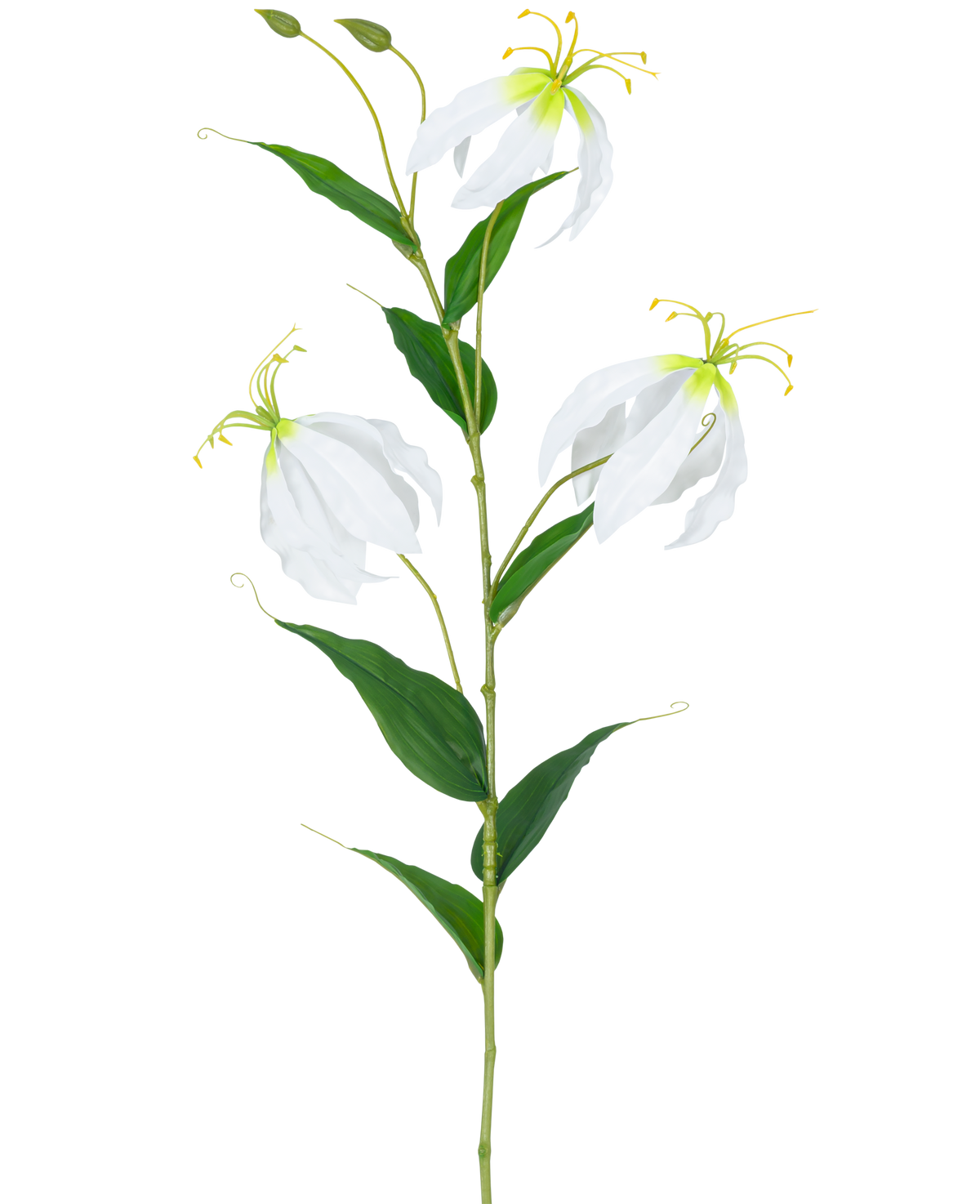 La Fleur Artificielle Gloriosa Real Touch Blanc 75 cm a une seule tige verte avec trois fleurs Gloriosa blanches ouvertes, deux bourgeons, de longues étamines jaunes et des feuilles vertes allongées sur un fond blanc uni.