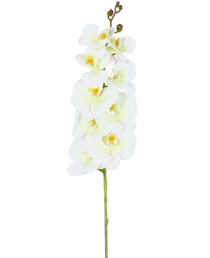 Un échantillon unique de l'orchidée artificielle Real Touch Deluxe 105 cm blanc/jaune avec plusieurs fleurs et boutons, joliment mis en valeur sur un fond blanc uni.