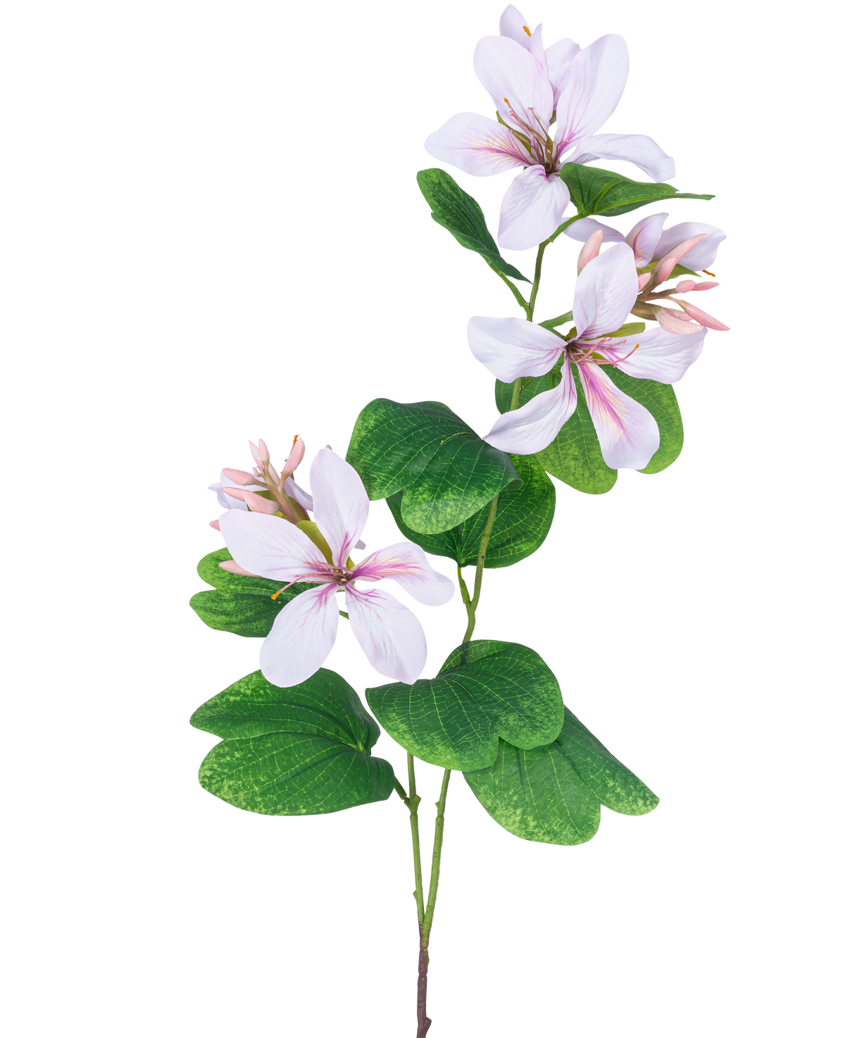 La Fleur Artificielle Rhododendron 85 cm rose clair a une tige verte élancée avec des bouquets de grandes fleurs blanches au cœur et aux nervures rose clair, accentuées par de larges feuilles vertes, sur fond blanc.