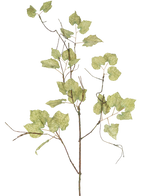La branche de raisin séché artificiel 120 cm est une branche artificielle marron élancée avec plusieurs feuilles de papier vert clair qui ressemblent à une vigne séchée, sur un fond blanc uni.