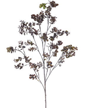 La Branche Artificielle Baie d'Eucalyptus 110 cm marron possède une branche haute avec plusieurs tiges fines, de petites feuilles rondes et des grappes de baies vert-brun sur un fond uni blanc.