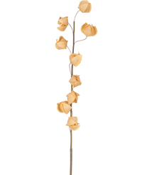 Fleur artificielle Physalis lampion 90 cm marron