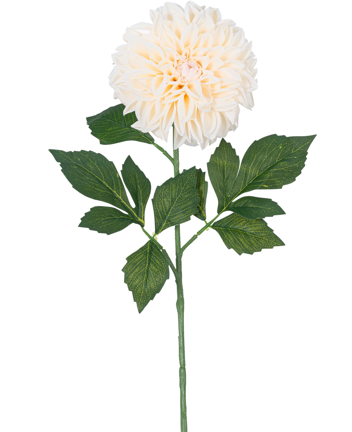 La Fleur Artificielle Dahlia Real Touch Beige 72 cm présente un seul dahlia beige avec des pétales superposés et des feuilles vertes sur une longue tige, isolée sur un fond blanc.