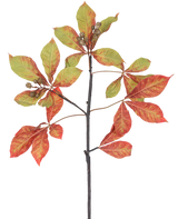 Une branche de châtaignier artificielle de 91 cm, branche rouge/verte avec des grappes de feuilles rouges et vertes, certaines avec des bords bruns, ainsi que de petites gousses brunes sur un fond blanc.
