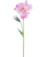 La Fleur Artificielle Iris 80 cm rose possède une seule tige d'iris rose avec des volants dans les pétales et un bouton fermé, sur un fond blanc uni.