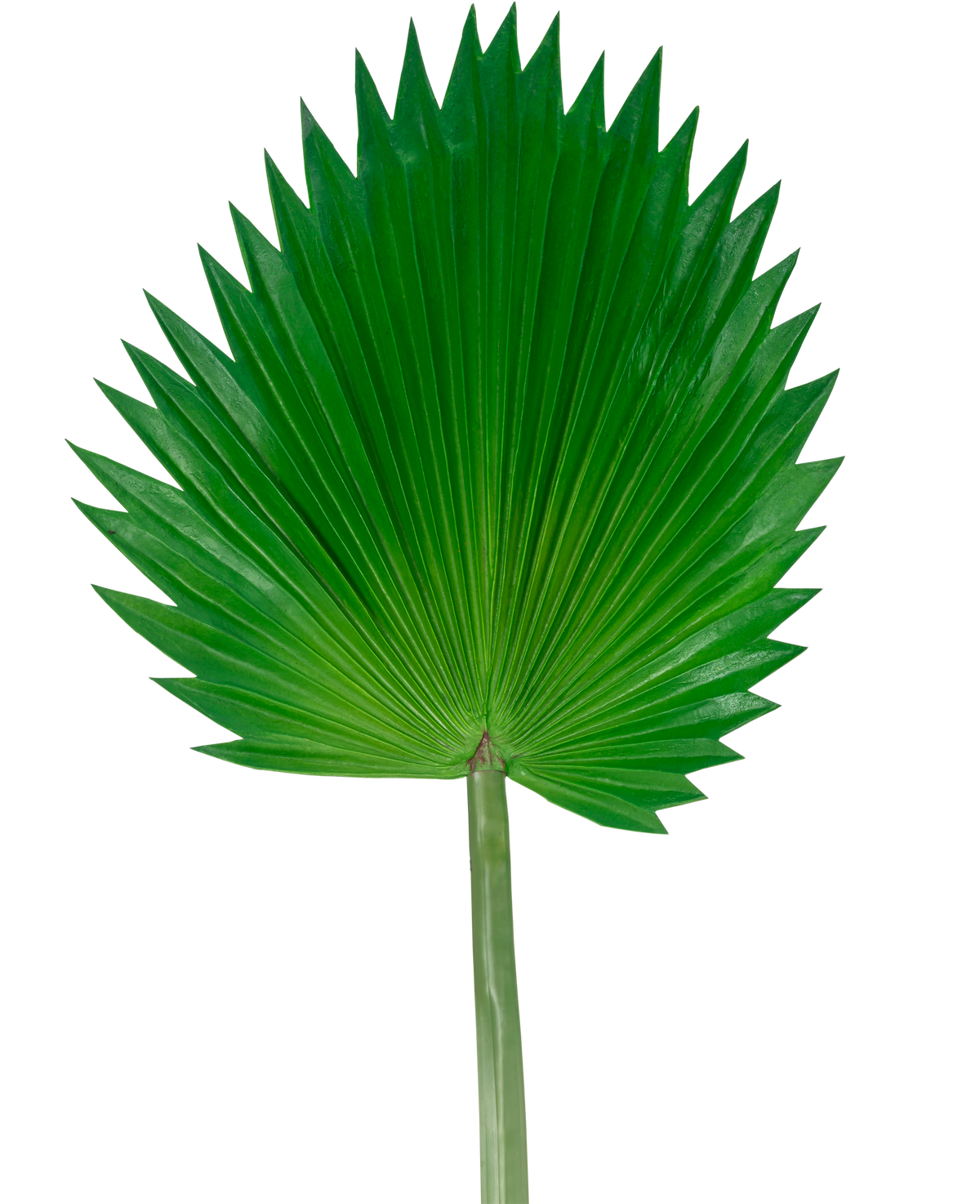 La feuille artificielle Washingtonia 83 cm est une grande feuille de palmier artificielle verte avec une longue tige, représentée sur un fond blanc uni.