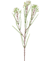 La Branche Artificielle Waxflower 78 cm crème a une seule tige haute avec de fines feuilles vertes et des bouquets de petites fleurs blanc crème au sommet, sur un fond uni et clair.