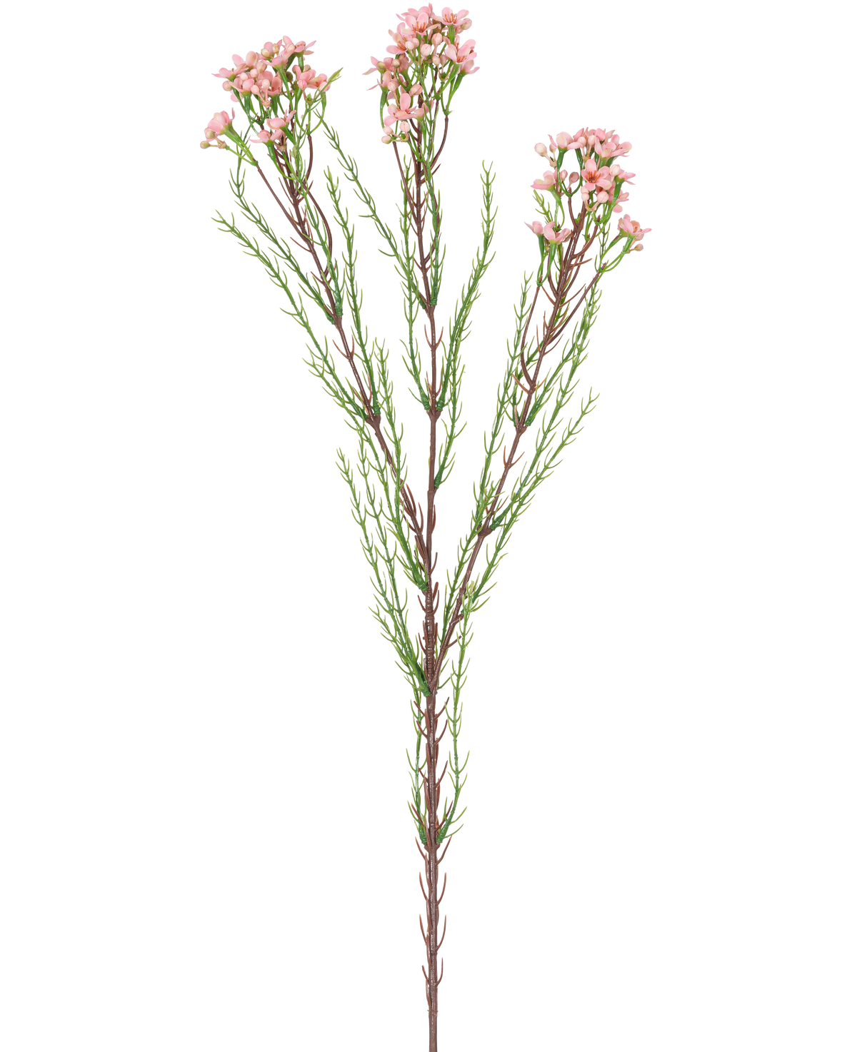 La Branche Artificielle Waxflower 78 cm rose a une seule tige avec de fines feuilles vertes et plusieurs bouquets de petites fleurs rose clair au sommet, sur un fond blanc.