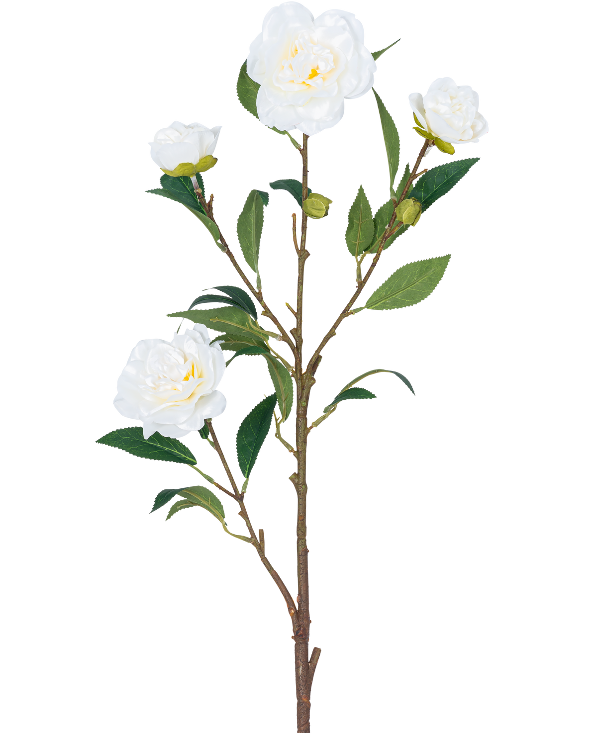 La Fleur Artificielle Camélia 80 cm blanche possède une seule tige brune avec de multiples feuilles vertes et plusieurs fleurs de camélia blanches, certaines en fleurs et d'autres en forme de bouton, le tout sur un fond blanc uni.