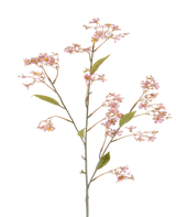 Une seule tige de la Fleur Artificielle Daphné de 108 cm de vieux rose, avec des petits bouquets de fleurs rose tendre et quelques feuilles vertes sur fond blanc.