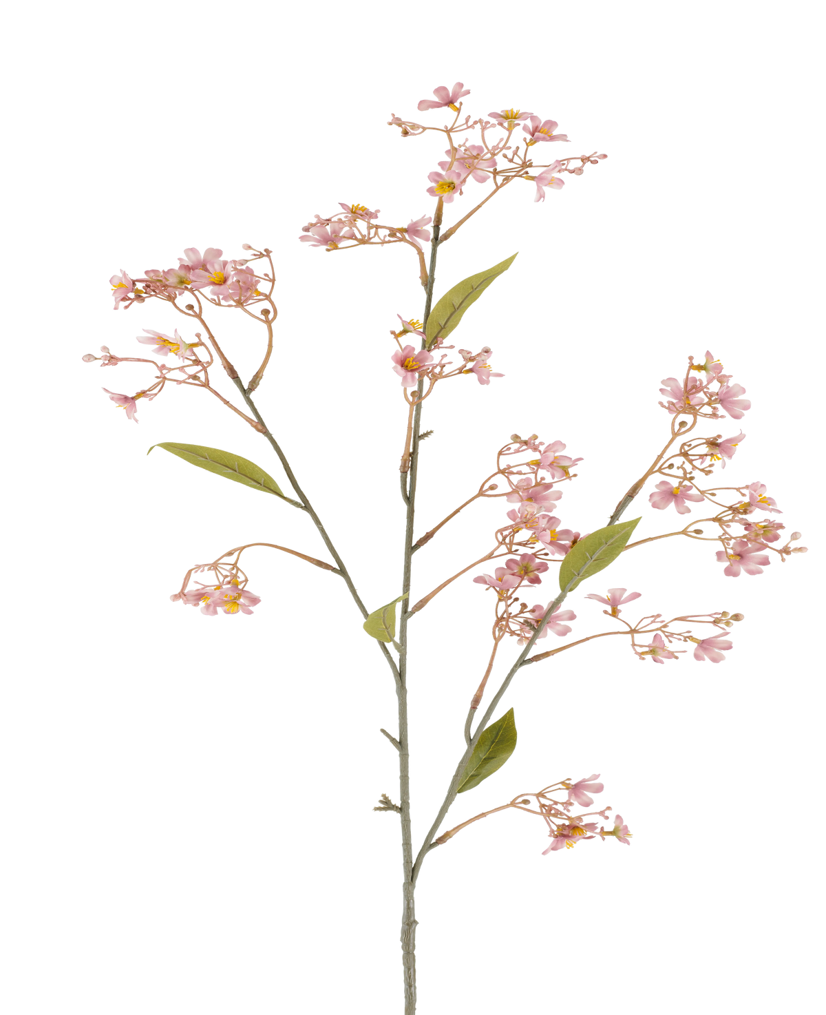 Une seule tige de la Fleur Artificielle Daphné de 108 cm de vieux rose, avec des petits bouquets de fleurs rose tendre et quelques feuilles vertes sur fond blanc.