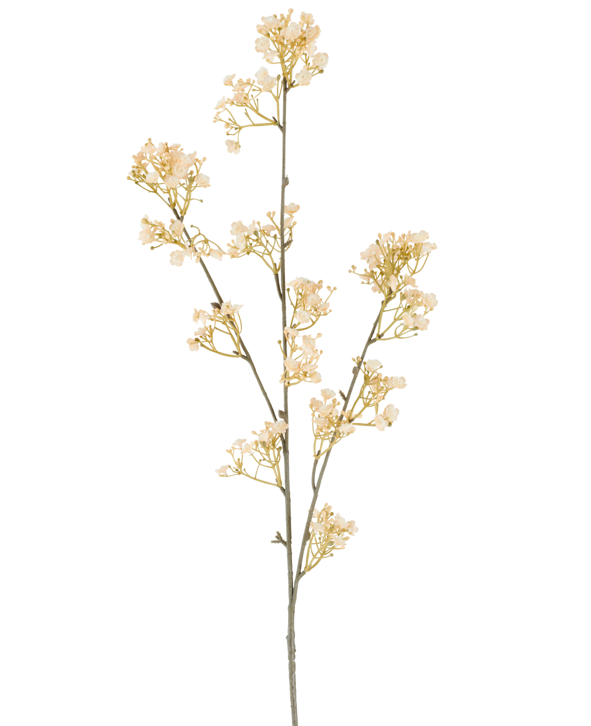 Une seule tige de fleur artificielle Gypso, 106 cm, crème/marron, avec de petites fleurs gracieuses crème et marron qui se ramifient, sur un fond blanc.