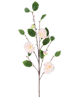 Une seule tige de camélia japonais, fleur artificielle, de 92 cm de long, avec de multiples branches avec des feuilles vertes et des fleurs rose clair ressemblant à un camélia, représentées sur un fond blanc uni.