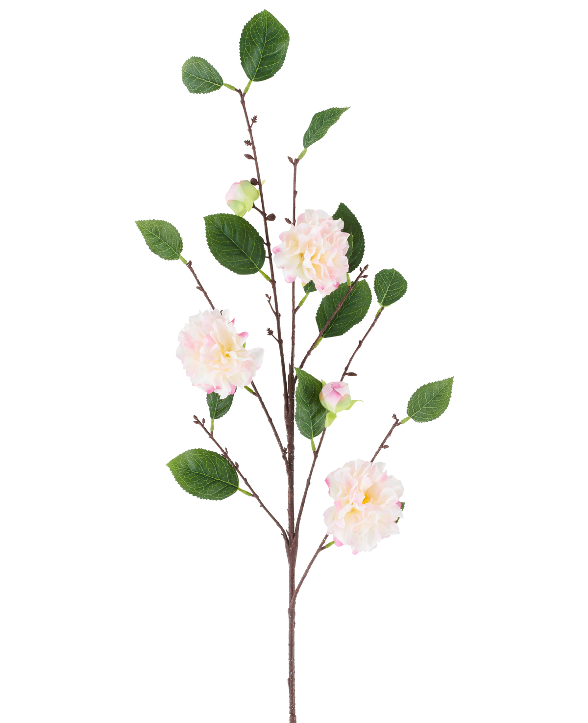 Une seule tige de camélia japonais, fleur artificielle, de 92 cm de long, avec de multiples branches avec des feuilles vertes et des fleurs rose clair ressemblant à un camélia, représentées sur un fond blanc uni.