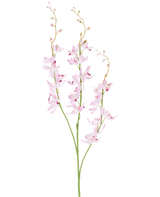 Deux tiges vertes avec des grappes ramifiées de délicates fleurs d'orchidées cymbidium violet clair et de petits bourgeons sur de fines branches arquées, photographiées sur un fond blanc uni. Le produit représenté est la fleur artificielle Cymbidium 95 cm violette.