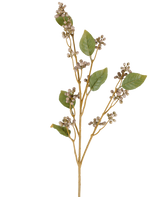 Une seule tige de la fleur artificielle Dewberry, de 78 cm de haut, avec plusieurs feuilles vertes et des grappes de petites baies rondes beiges sur de fines tiges brunes dans des tons gris et violets, sur fond blanc.