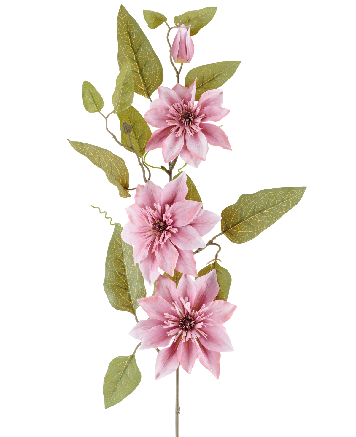 Une tige de Fleur Artificielle Clématite 81 cm vieux rose, avec trois fleurs de clématite vieux rose, un bouton rose fermé et plusieurs feuilles vertes, sur fond blanc.