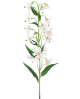 Une longue tige verte avec plusieurs lys artificiels crème et marron, chacun avec des feuilles vertes allongées, présentées sur un fond blanc — Fleur de Lys Artificielle 82 cm crème/marron.