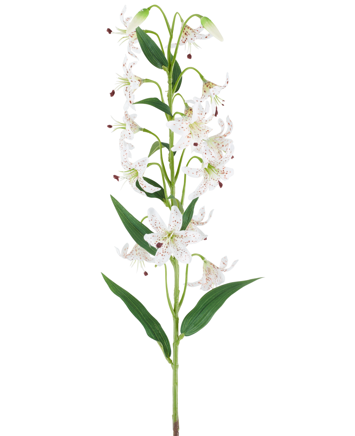 Une longue tige verte avec plusieurs lys artificiels crème et marron, chacun avec des feuilles vertes allongées, présentées sur un fond blanc — Fleur de Lys Artificielle 82 cm crème/marron.
