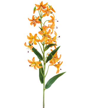 Une seule tige de fleur artificielle Magnolia, de 65 cm de long, dans des tons crème et marron avec un feuillage luxuriant, représentée sur un fond blanc.
