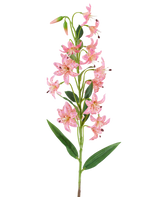 Une seule tige de fleur de lys artificielle de 82 cm fuchsia, avec des fleurs de lys de couleur fuchsia vibrantes avec des taches sombres, des feuilles et des bourgeons verts sur un fond blanc.