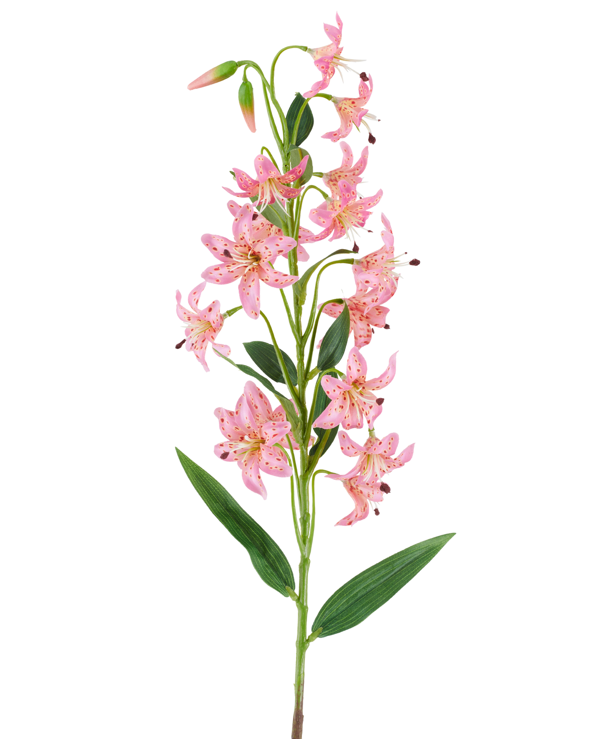 Une seule tige de fleur de lys artificielle de 82 cm fuchsia, avec des fleurs de lys de couleur fuchsia vibrantes avec des taches sombres, des feuilles et des bourgeons verts sur un fond blanc.