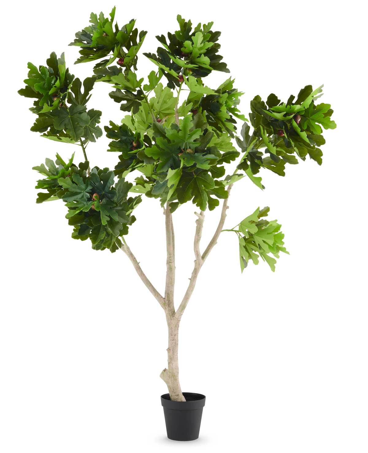 La Plante Artificielle Ficus Carica Figuier 250 cm est un figuier artificiel en pot avec de multiples branches marron clair et des bouquets de grandes feuilles vertes lobées, présentées sur un fond uni blanc.