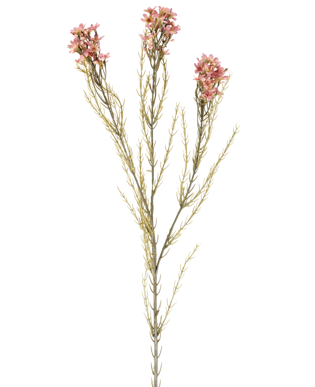 Une seule fleur artificielle en cire de 78 cm en vieux rose a une tige verte avec trois branches, chacune portant de petites fleurs délicates vieux rose et de fines feuilles en forme d'aiguilles, disposées sur un fond blanc uni.