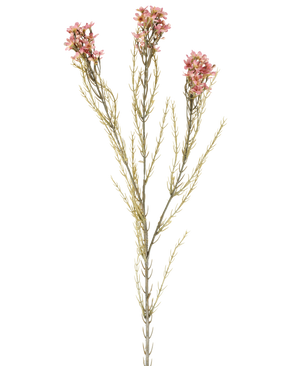 Une seule fleur artificielle en cire de 78 cm en vieux rose a une tige verte avec trois branches, chacune portant de petites fleurs délicates vieux rose et de fines feuilles en forme d'aiguilles, disposées sur un fond blanc uni.