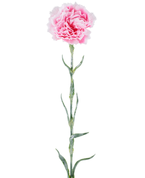 Fleur artificielle : oeillet de 68 cm, rose, aux pétales roses ébouriffés sur une longue tige verte, isolé sur fond blanc.