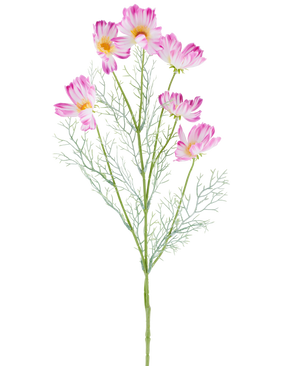 Une fleur artificielle Cosmo de 78 cm en crème/rose, avec plusieurs fleurs de cosmos rose clair et blanches et des feuilles vertes plumeuses, représentées sur un fond blanc uni.