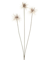 Trois fleurs artificielles du genre Xanthium de couleur crème et marron, chacune avec de fines et longues tiges de 64 cm, disposées en éventail sur un fond blanc uni.