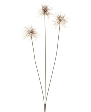 Trois fleurs artificielles du genre Xanthium de couleur crème et marron, chacune avec de fines et longues tiges de 64 cm, disposées en éventail sur un fond blanc uni.