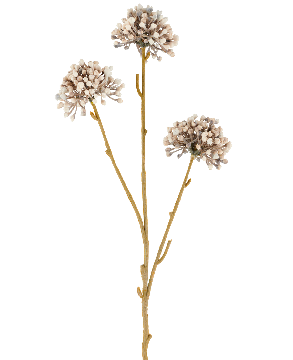 Trois tiges brunes de la fleur artificielle Mini Allium 60 cm crème/marron s'étendent vers le haut, chacune avec une grappe ronde de petits boutons subtils crème et marron à l'extrémité sur un fond blanc uni. L’ensemble semble minimaliste et naturel.