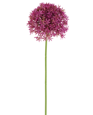 Une seule longue tige de Pissenlit Artificiel 63 cm fuchsia porte une grappe ronde de petites fleurs fuchsia en forme d'étoile sur un fond blanc.