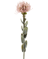 Une seule tige de la fleur artificielle Protea de 61 cm mauve, avec des feuilles vertes ovales et une fleur ronde et épineuse rose mauve clair au sommet, représentée sur un fond blanc uni.