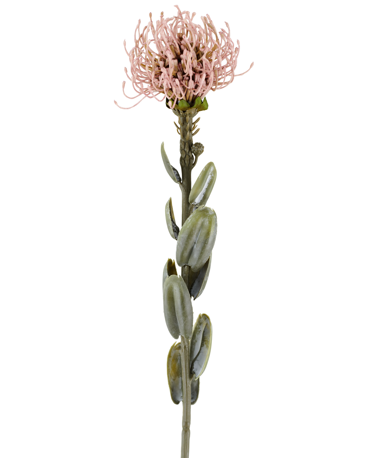 Une seule tige de la fleur artificielle Protea de 61 cm mauve, avec des feuilles vertes ovales et une fleur ronde et épineuse rose mauve clair au sommet, représentée sur un fond blanc uni.