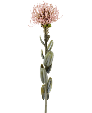 Une seule tige de la fleur artificielle Protea de 61 cm mauve, avec des feuilles vertes ovales et une fleur ronde et épineuse rose mauve clair au sommet, représentée sur un fond blanc uni.