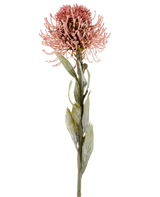Fleur artificielle Protea 60 cm vieux rose avec des pétales roses pointus et des feuilles vertes sur une longue tige, présentée sur un fond blanc uni.